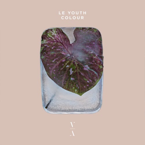 Le Youth - Colour [TNH086E]